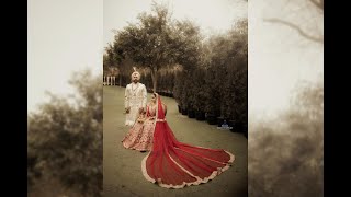 Parteek & Gurleen || Best Punjabi Sikh Wedding Highlight Video 2024 l Team Cinematic