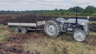 An Mhóin 2022 - Turf 2022. 1953 Ferguson 20 Diesel \u0026 1955 Fordson Major Diesel