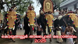 കൊടുങ്ങല്ലൂർ താലപ്പൊലി മഹോത്സവം..2025kodungallur thalappoli 2025