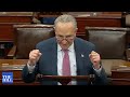 'The Government Remains Open!' Schumer Celebrates Passage Of Short-Term Funding Bill