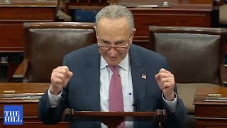 'The Government Remains Open!' Schumer Celebrates Passage Of Short-Term Funding Bill