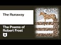 The Poems of Robert Frost | The Runaway