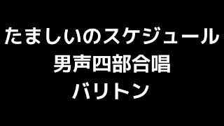 04 「たましいのスケジュール」横山潤子編(男声合唱版)MIDI バリトン 音取り音源