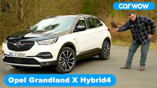 Opel Grandland X Hybrid4 (2021) 4K : Wieviel 