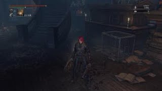 Bloodborne　　ビルゲンワース　NPC戦