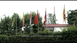 Flags of SAARC in Nepal