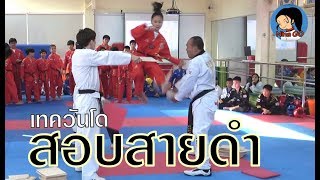 เทควันโดสายดำ สอบเลื่อนสายรวมดั้ง 1-3 The Kick Taekwondo ศรีนครินทร์