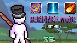 Beginner Mage Guide - Idleon