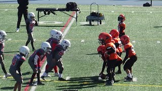 MRFL u9 Atom North Shore RoughRiders vs. St-Laurent Spartans 2024