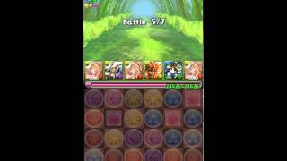 【パズドラ】水の猫龍【木なし】超地獄級 光カーリーPT