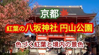 【京都 八坂神社・円山公園 紅葉】 ”八坂神社から円山公園まで散策” 「和服の外人さんも納得の景色」