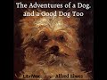 the adventures of a dog and a good dog too by alfred elwes read by allyson hester full audio book