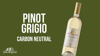 Santa Margherita Pinot Grigio: The purest taste of Italy