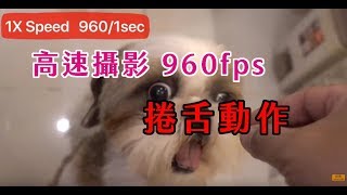 Sony 高速攝影 Sony RX100M5A  HFR  960fps /1 sec  - Yunlin Life