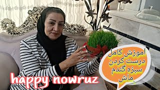 . how to make nowruz sabze #چطور سبزه گندم درست کنیم#عید نوروز#چناران ❤️🥰