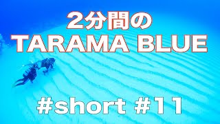 【２分間のTARAMA BLUE】#short#taramablue