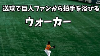 ウォーカー、ノーバン返球で巨人ファンから拍手を浴びる