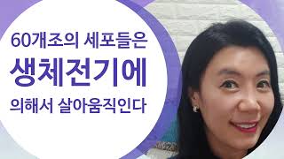 생체전기를 만들어내야 세포들이 건강하게 살아움직입니다.#생체전기#60개조세포#전해질#나트륨#마그네슘#염소#칼륨#미네랄공급