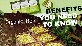 Atomy Organic Fermented Noni Concentrate Review | Health benefits and how to use for maximum results