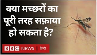 Mosquitoes Story: क्या मच्छरों का सफ़ाया संभव है? Year Ender Special Duniya Jahan (BBC Hindi)