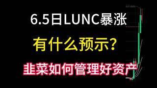 6.5日LUNC暴涨有什么预示？韭菜应该如何管理好自己的资产！