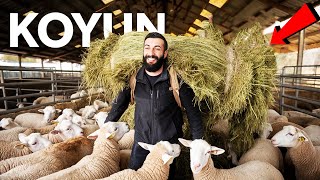 AHIR TEMİZLİĞİ YAPTIM VE 300 KG LIK DEV BALYA ALDIM !!