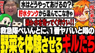 【VCR GTA3】ファームで１番キツイと言われる「野菜」を、救急隊ぺいんとに体験させるギルたち【ギルくん/GTA5】