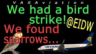 [REAL ATC] Ryanair suffers BIRD STRIKE departing DUBLIN!!