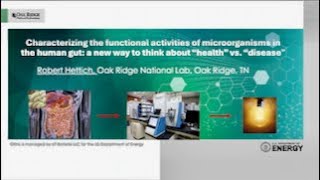 Characterizing the functional activities of microorganisms in the human gut:  “health” vs. “disease”