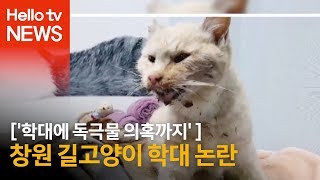 '학대에 독극물 의혹까지' 창원 길고양이 학대 논란