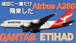 ✈✈RJAA成田空港にたった一度だけ飛来したA380×二機カンタス航空 (Qantas Airways)Airbus A380エティハド航空 (Etihad Airways)Airbus A380