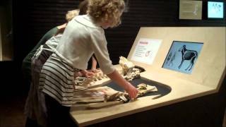 SheepTag: An Interactive Museum Exhibition