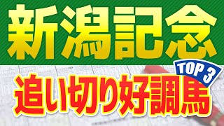 【新潟記念2021】追い切りが絶好調だった「トップ３」はこの馬だ🐴