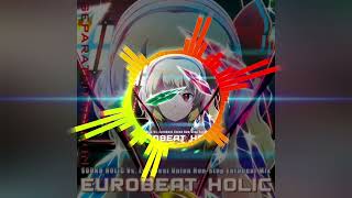 【重低音強化】PANDORA ZONE【SOUND HOLIC】