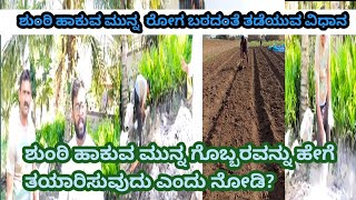 ಶುಂಠಿ ಹಾಕುವ ಮುನ್ನ  ರೋಗ ಬರದಂತೆ ತಡೆಯುವ ವಿಧಾನ | how to get Ginger farming #ginger