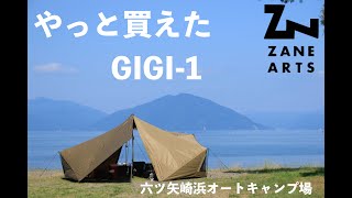 やっと買えました！ZANE ARTS GIGI-1