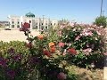 Ramadan Taraweeh - Irving Masjid - Juz 29 (7/2/2016)