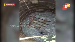 Elephant Calf Fell Inside Well In Odisha’s Kamakhyanagar