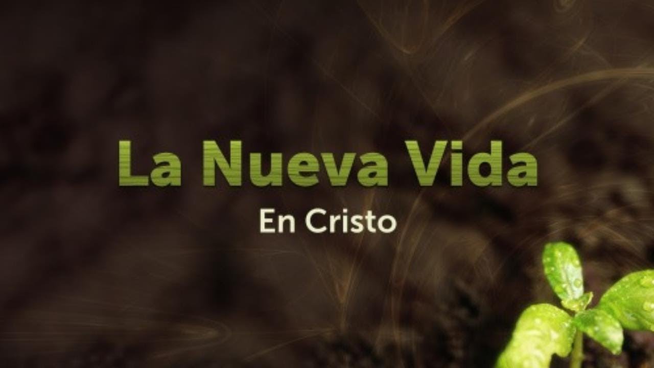 Estudio Bíblico | La Nueva Vida En Cristo - REFLEXIÓN. - YouTube