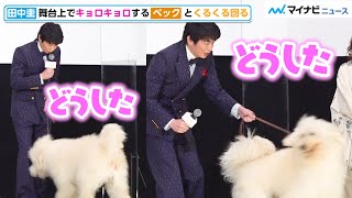 田中圭、舞台上で”主演犬”とくるくる回る！宮本信子もベックとの再会に喜び　「映画『ハウ』公開記念舞台挨拶」