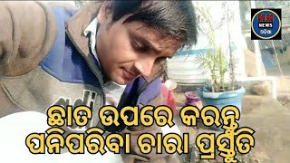 ଶୀତଦିନେ ଏମିତି ପ୍ରଣାଳୀରେ ଛାତଉପରେ କରନ୍ତୁ ପନିପରିବା ଚାରା ପ୍ରସ୍ତୁତି