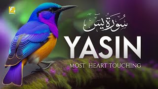 Surah Yasin (Yaseen) سورة يس | Beautiful voice heart touching | Zikrullah TV