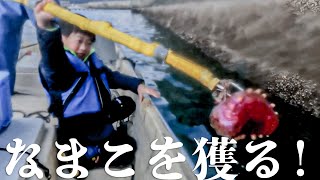 長崎県五島列島の上五島で赤なまこを突く！