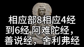 相应部8相应4经到6经 阿难陀经，善说经，舍利弗经，中文白话翻译。（188）