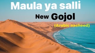 Maula ya salli naat|New gojol 2020|Arabic nasheed