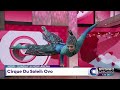 cirque du soleil ovo performance