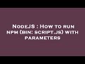 NodeJS : How to run npm {bin: script.js} with parameters