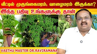 அதிர்ஷ்டம் தரும் மரங்கள் lucky trees indian astrology predictions lucky plants Dr.Ravi Ramana vastu