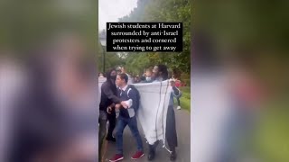 Anti-Israel Harvard protesters gang up on Jewish student