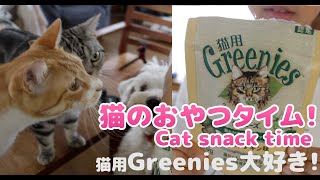 【猫生活VLOG】猫たちのおやつタイム：みんな大好き！猫用歯磨きスナックGreenies!